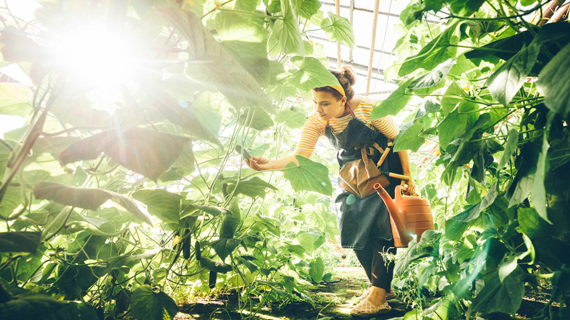 Agricoltura più sostenibile